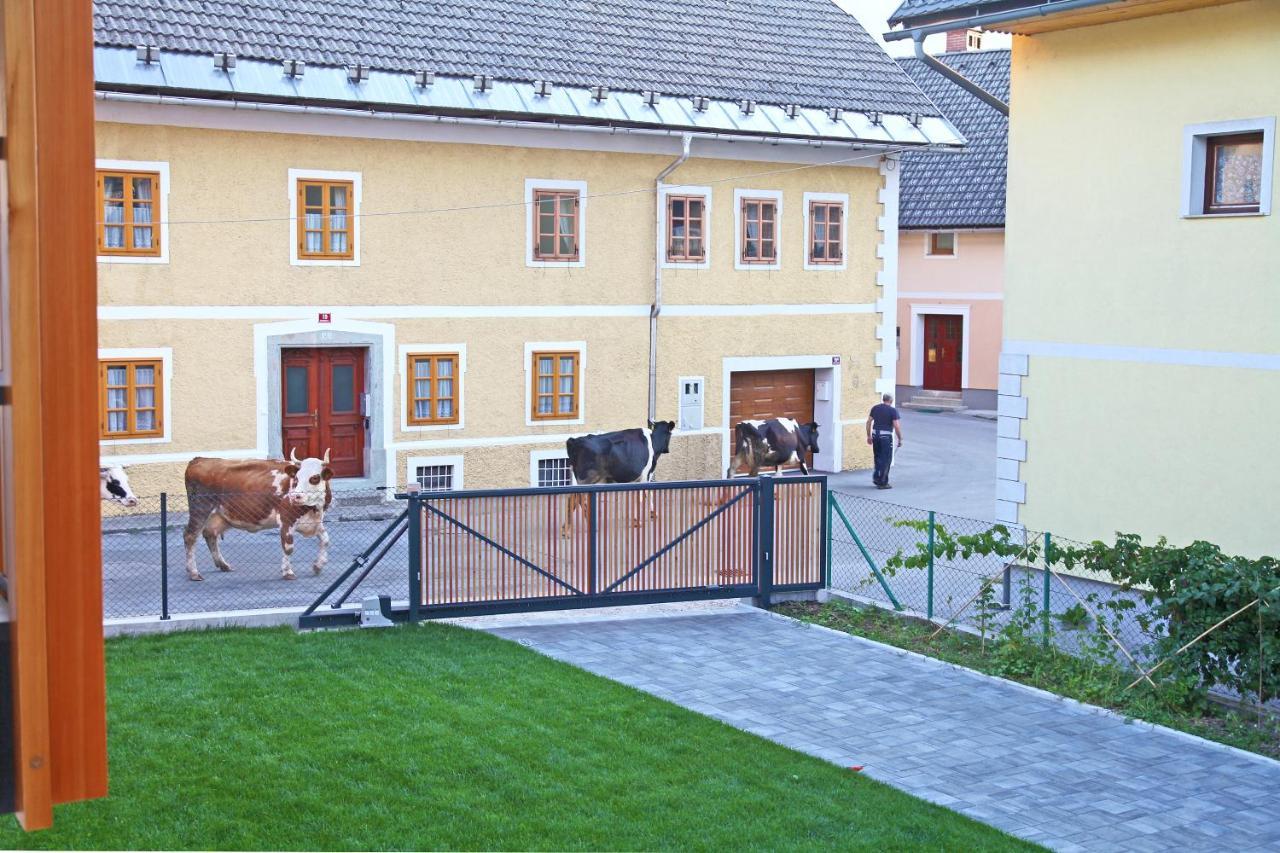 Apartment Jurijana - New 4-Bedroom Triplex With Sauna & Garden Bohinj Exteriér fotografie